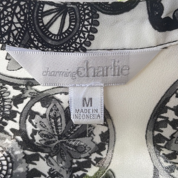 Charming Charlie High/Low V-Neck Sheer Print Tunic Top - Picture 8 of 9